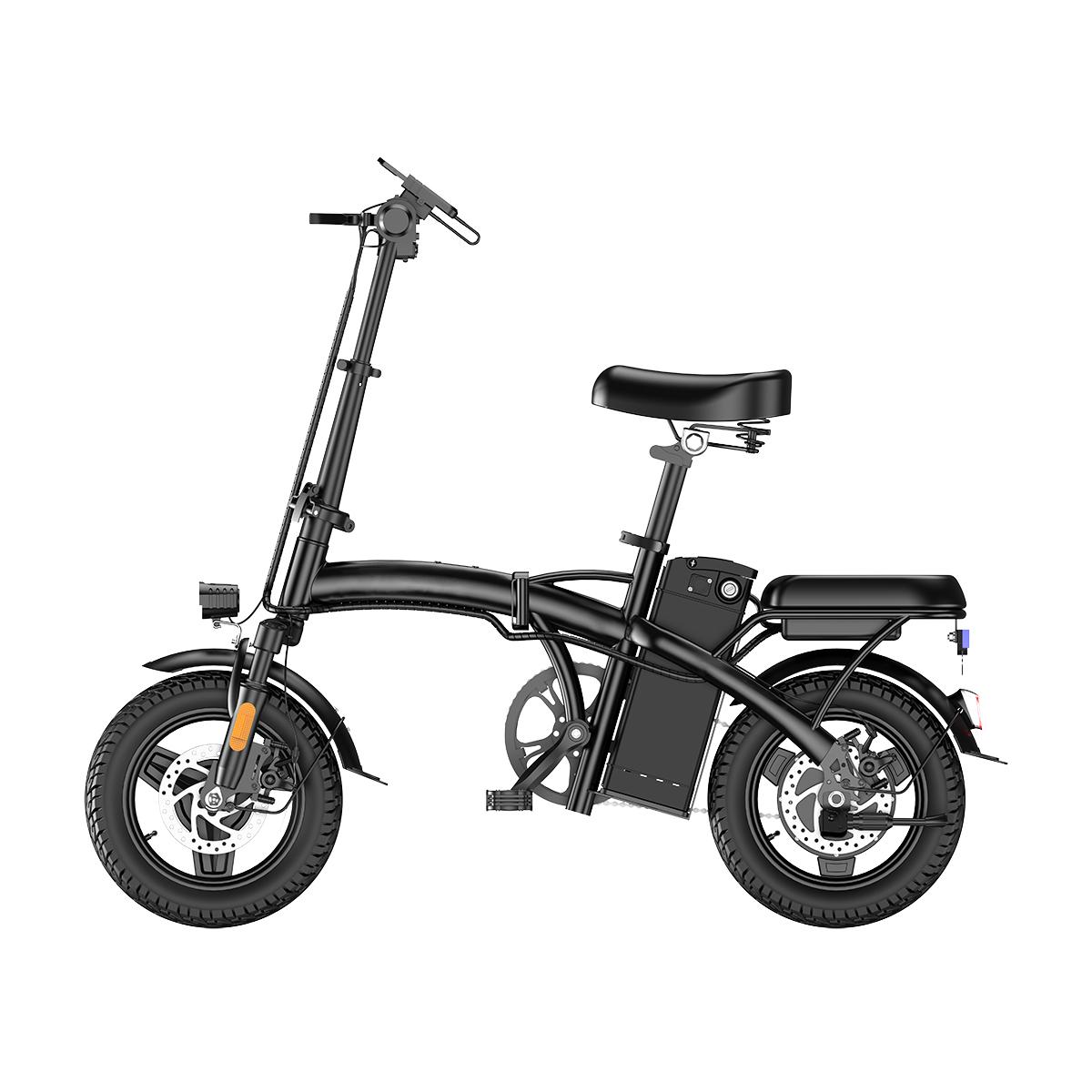 SAMEBIKE XWLX09-II 1000W fat tire electric mountain bike for adults