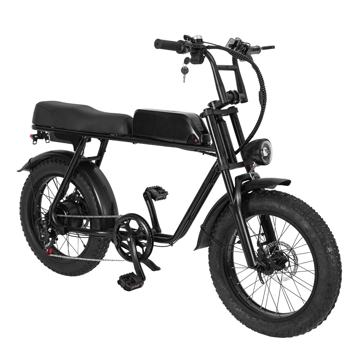 SAMEBIKE XWLX09-II 1000W fat tire electric mountain bike for adults