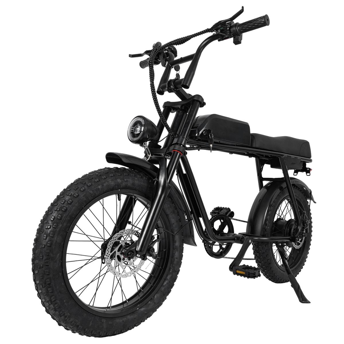 SAMEBIKE XWLX09-II 1000W fat tire electric mountain bike for adults