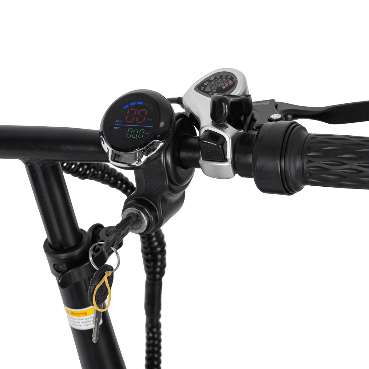 SAMEBIKE XWLX09-II 1000W fat tire electric mountain bike for adults