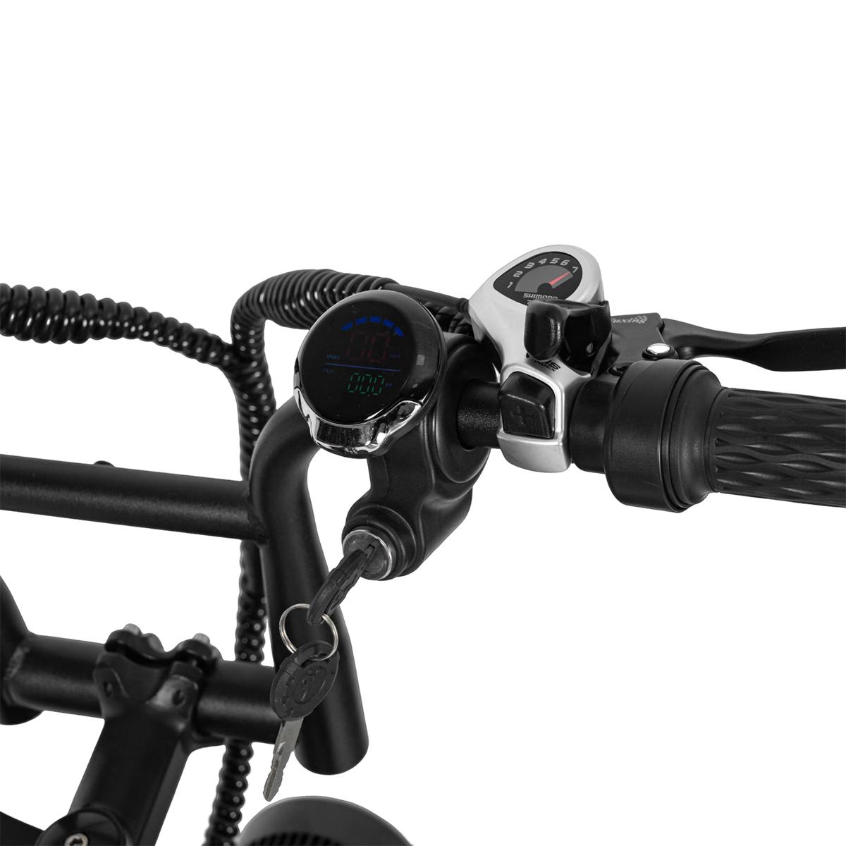 SAMEBIKE XWLX09-II 1000W fat tire electric mountain bike for adults
