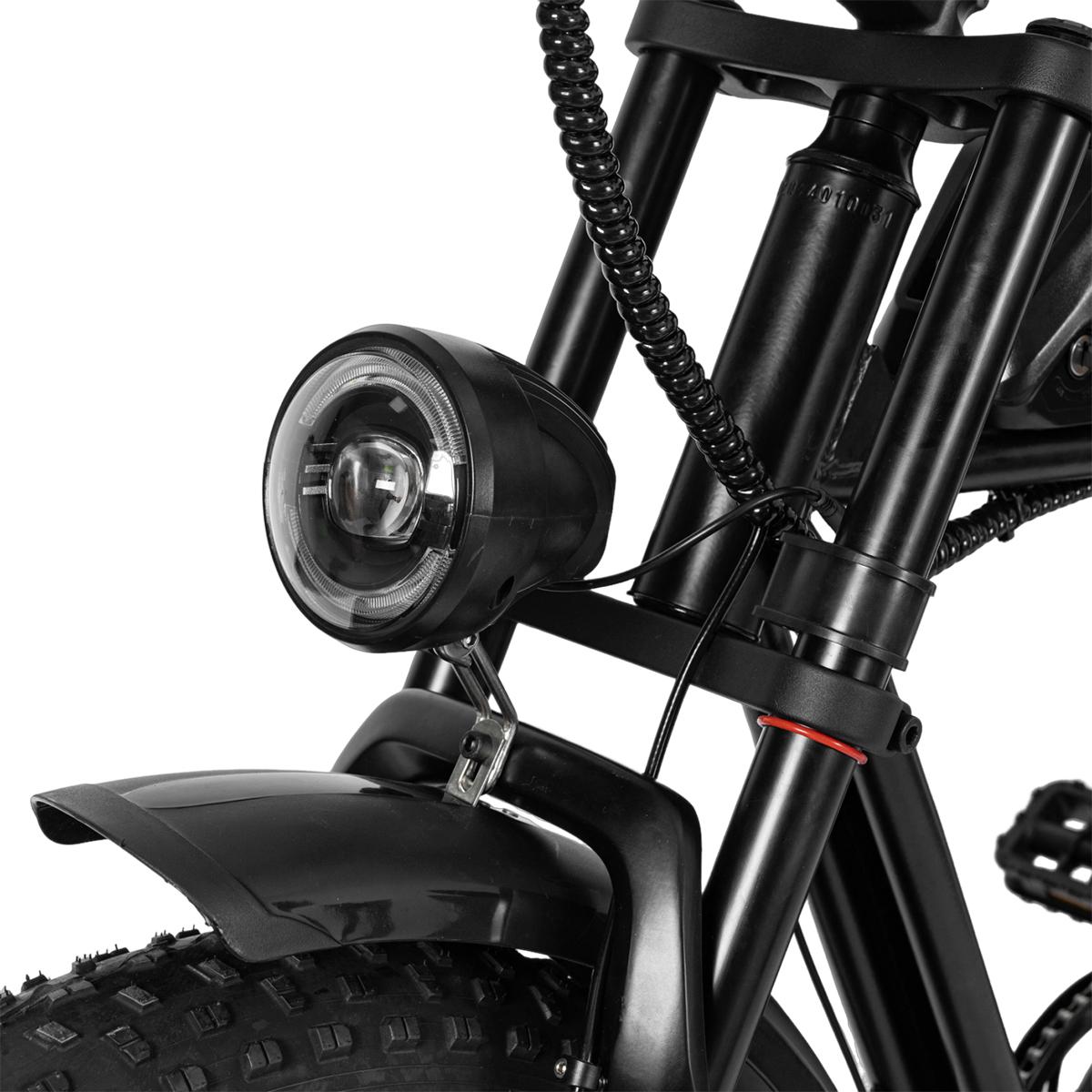 SAMEBIKE XWLX09-II 1000W fat tire electric mountain bike for adults