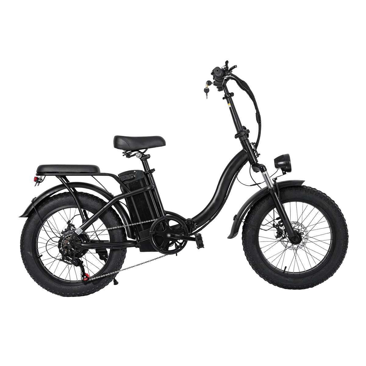 SAMEBIKE XWLX09-II 1000W fat tire electric mountain bike for adults