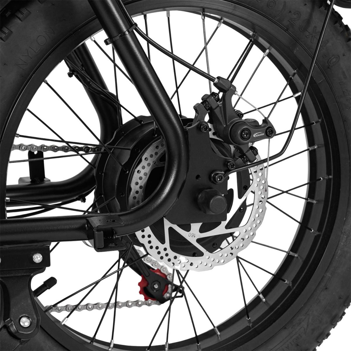SAMEBIKE XWLX09-II 1000W fat tire electric mountain bike for adults