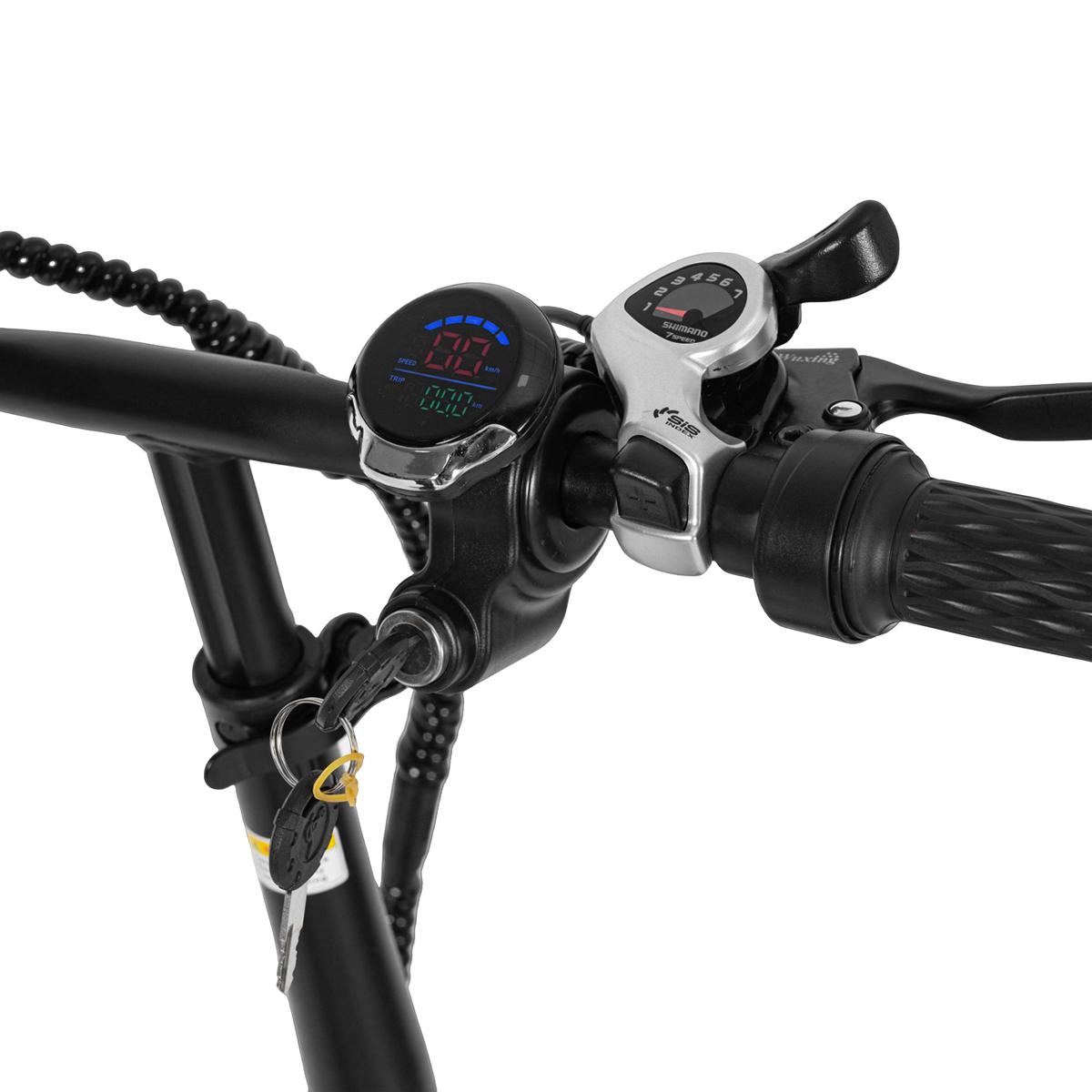 SAMEBIKE XWLX09-II 1000W fat tire electric mountain bike for adults