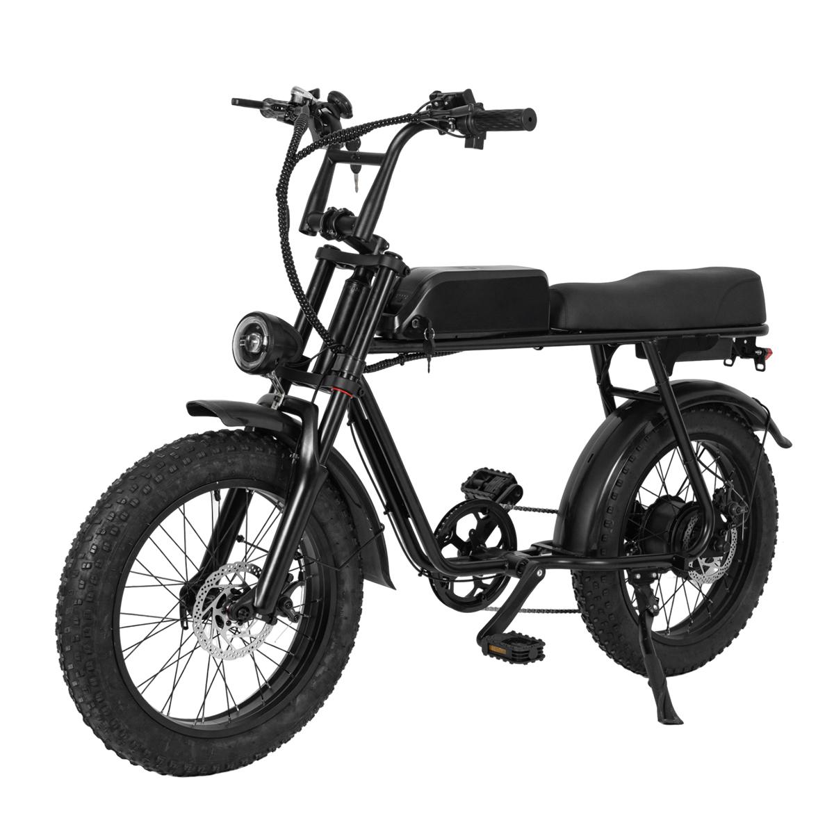 SAMEBIKE XWLX09-II 1000W fat tire electric mountain bike for adults