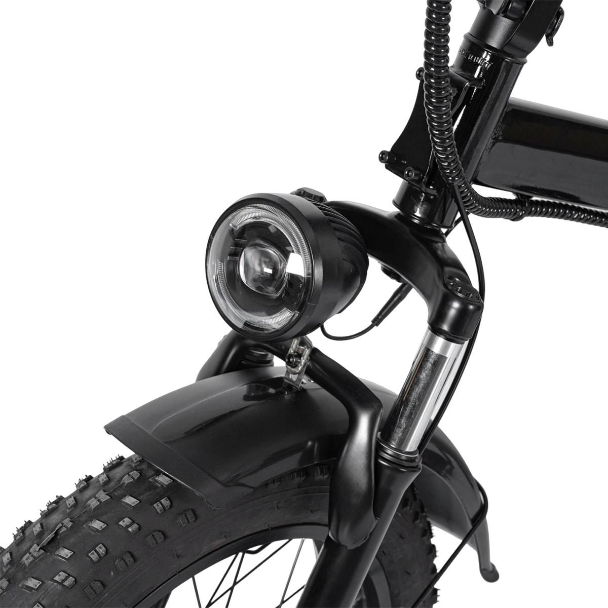 SAMEBIKE XWLX09-II 1000W fat tire electric mountain bike for adults
