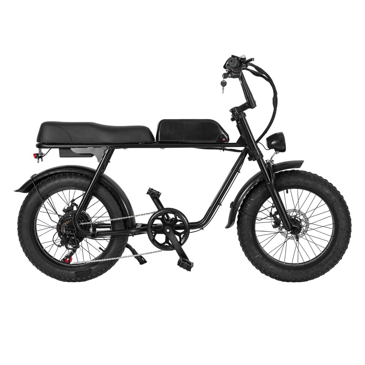 SAMEBIKE XWLX09-II 1000W fat tire electric mountain bike for adults