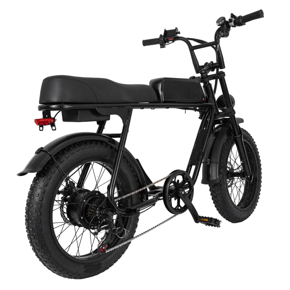 SAMEBIKE XWLX09-II 1000W fat tire electric mountain bike for adults