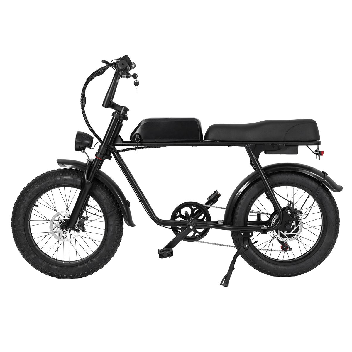 SAMEBIKE XWLX09-II 1000W fat tire electric mountain bike for adults
