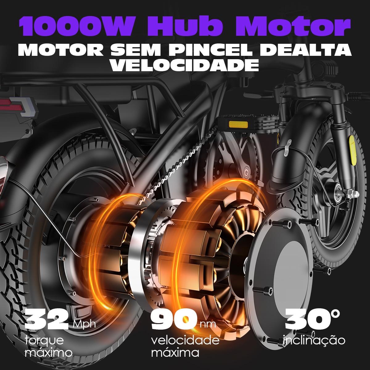 SAMEBIKE XWLX09-II 1000W fat tire electric mountain bike for adults