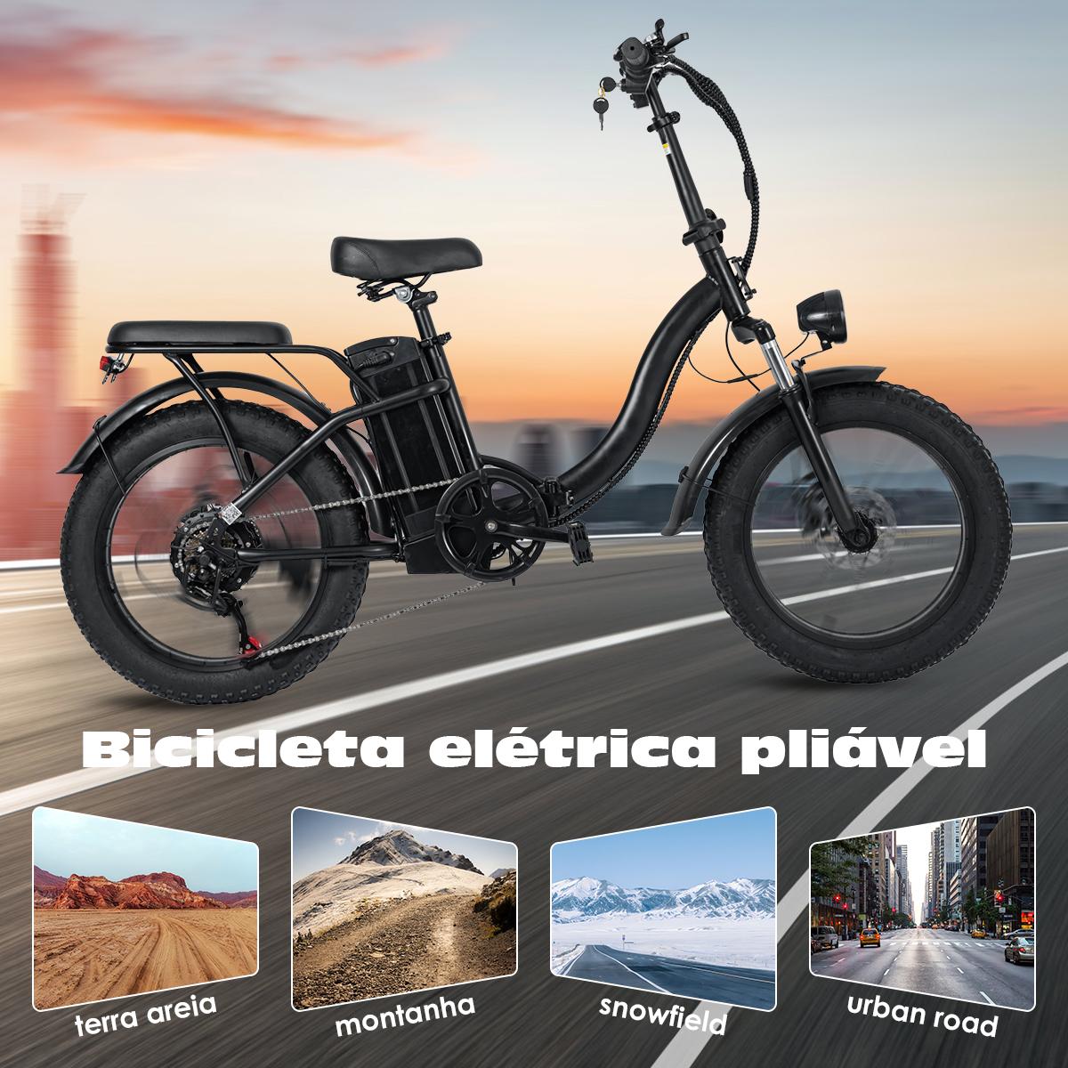 SAMEBIKE XWLX09-II 1000W fat tire electric mountain bike for adults