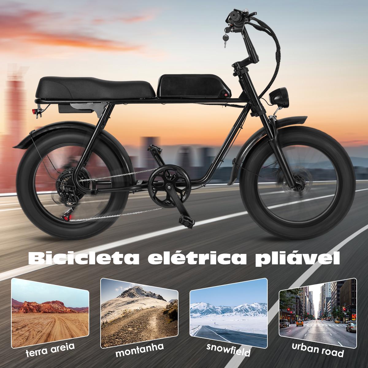 SAMEBIKE XWLX09-II 1000W fat tire electric mountain bike for adults