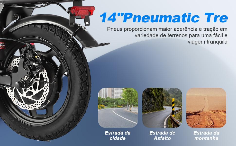 SAMEBIKE XWLX09-II 1000W fat tire electric mountain bike for adults