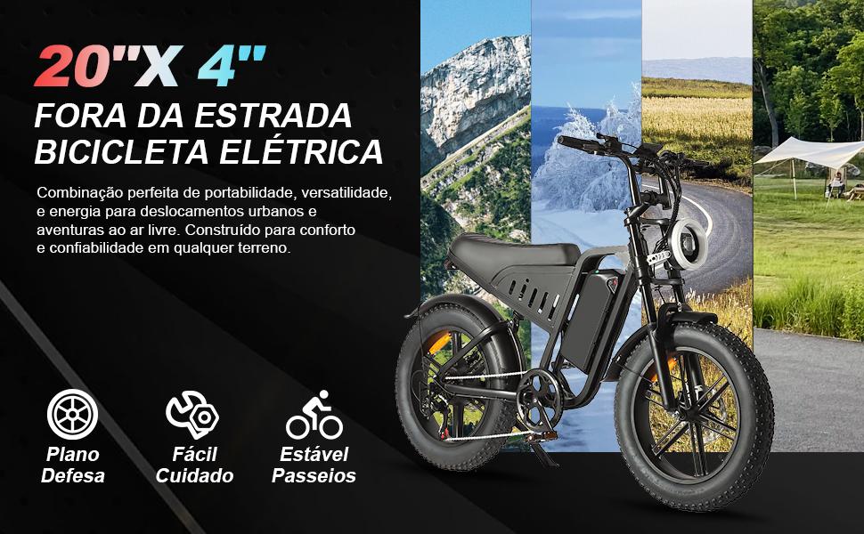 SAMEBIKE XWLX09-II 1000W fat tire electric mountain bike for adults