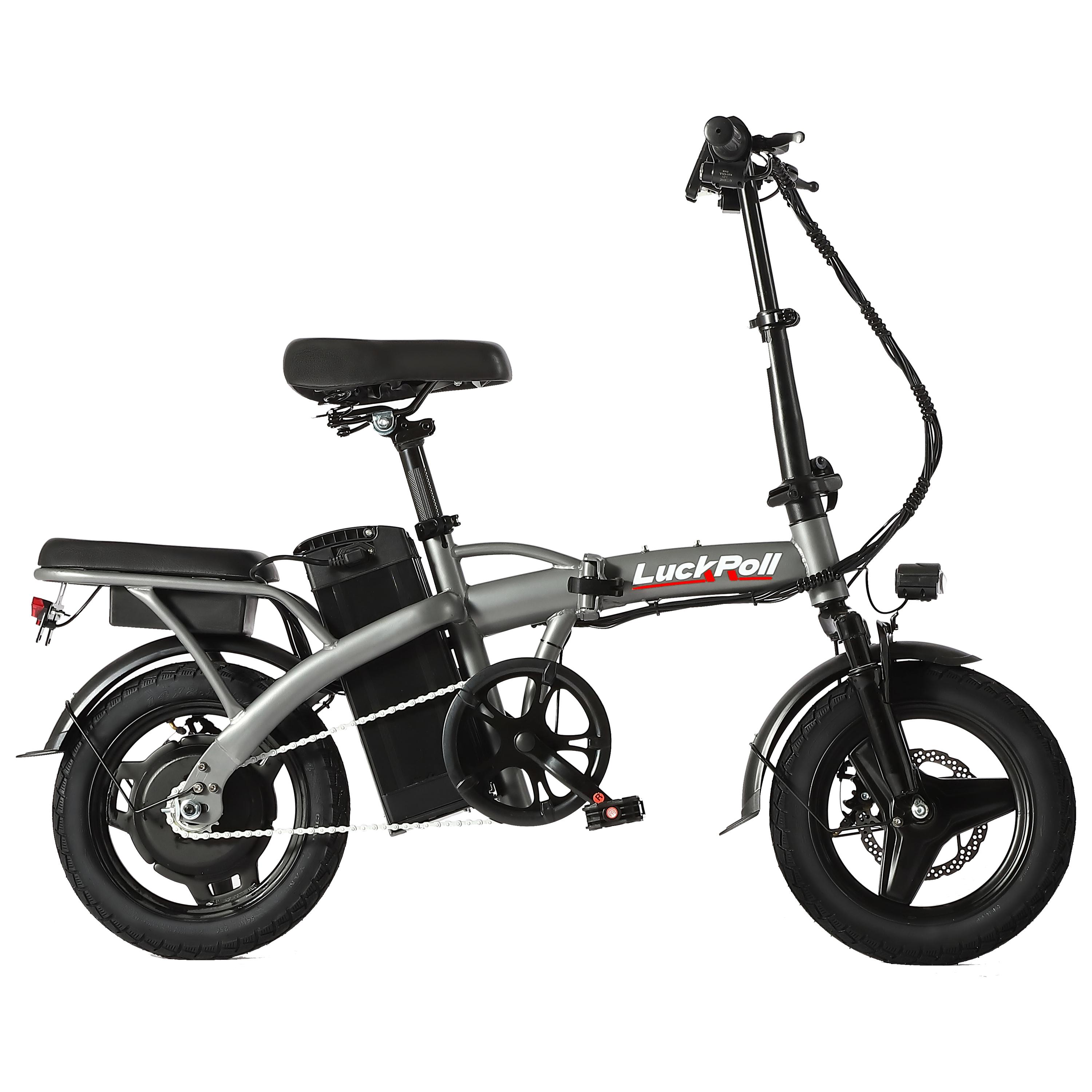 SAMEBIKE XWLX09-II 1000W fat tire electric mountain bike for adults