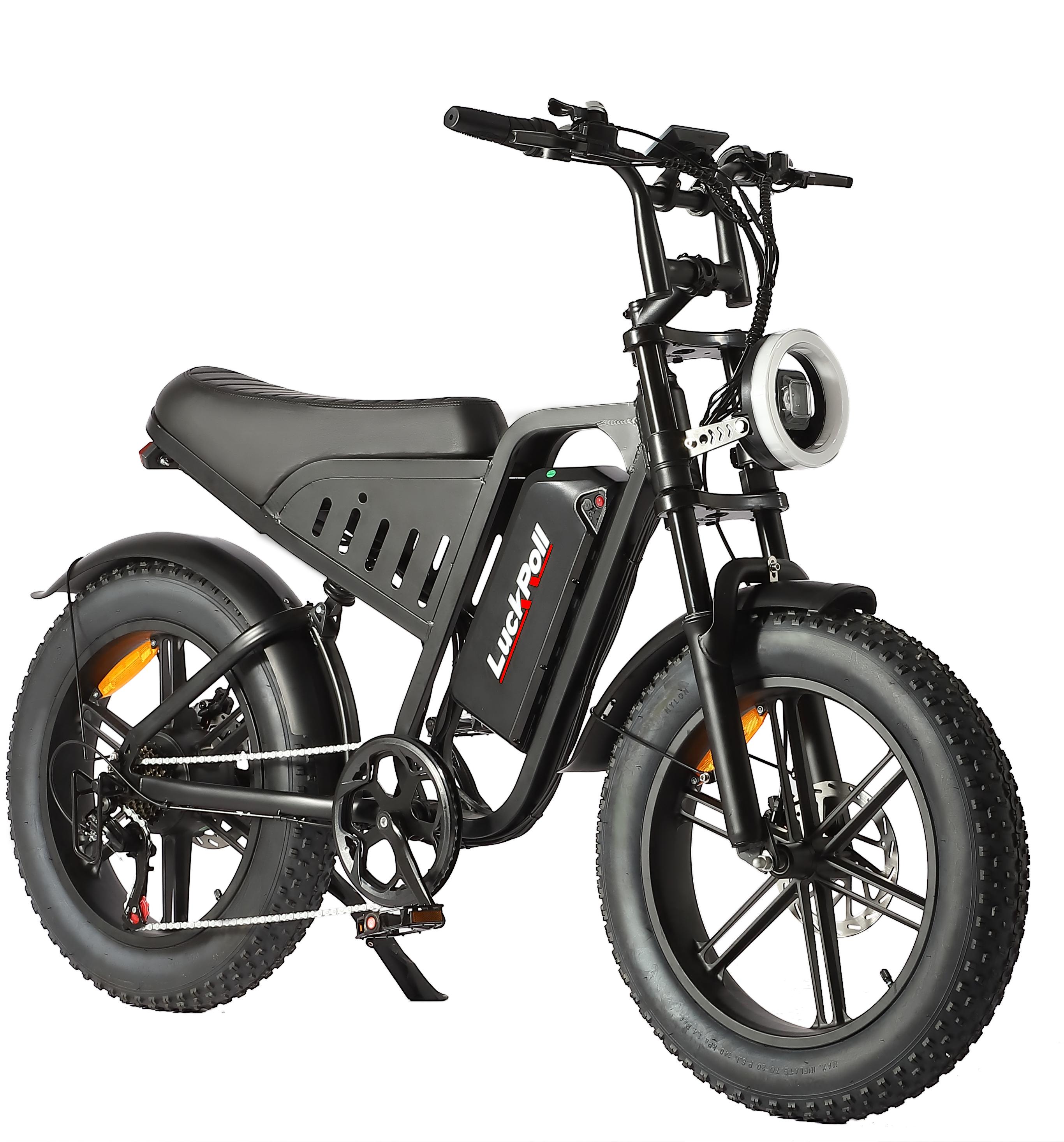 SAMEBIKE XWLX09-II 1000W fat tire electric mountain bike for adults