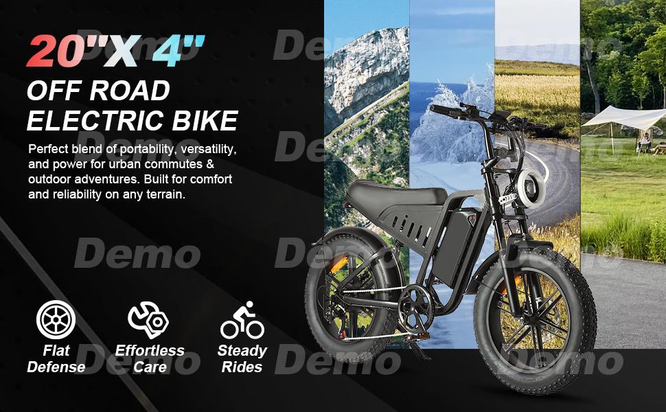 SAMEBIKE XWLX09-II 1000W fat tire electric mountain bike for adults