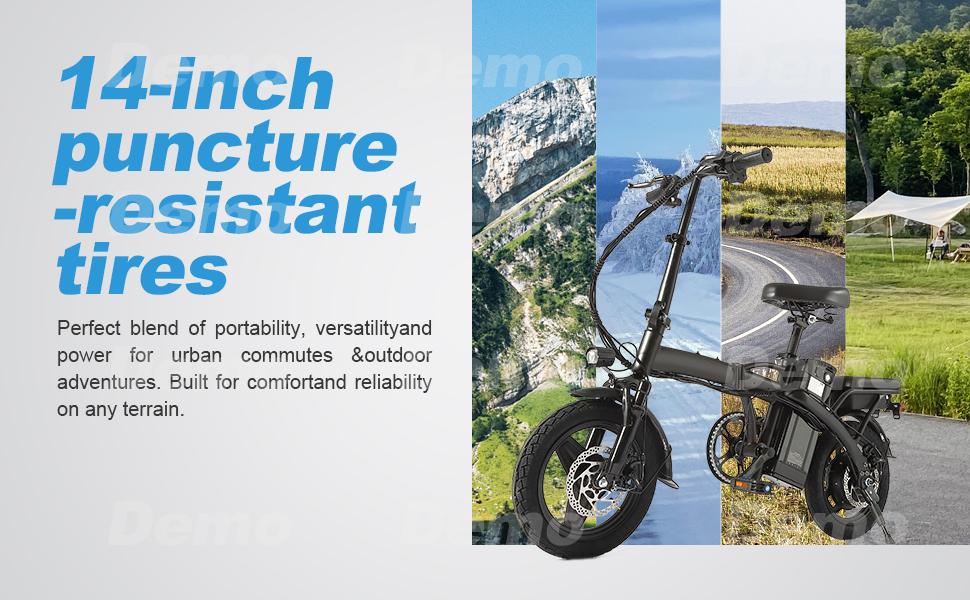 SAMEBIKE XWLX09-II 1000W fat tire electric mountain bike for adults