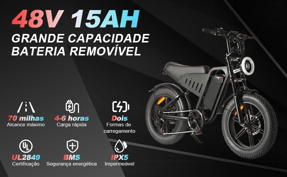 SAMEBIKE XWLX09-II 1000W fat tire electric mountain bike for adults