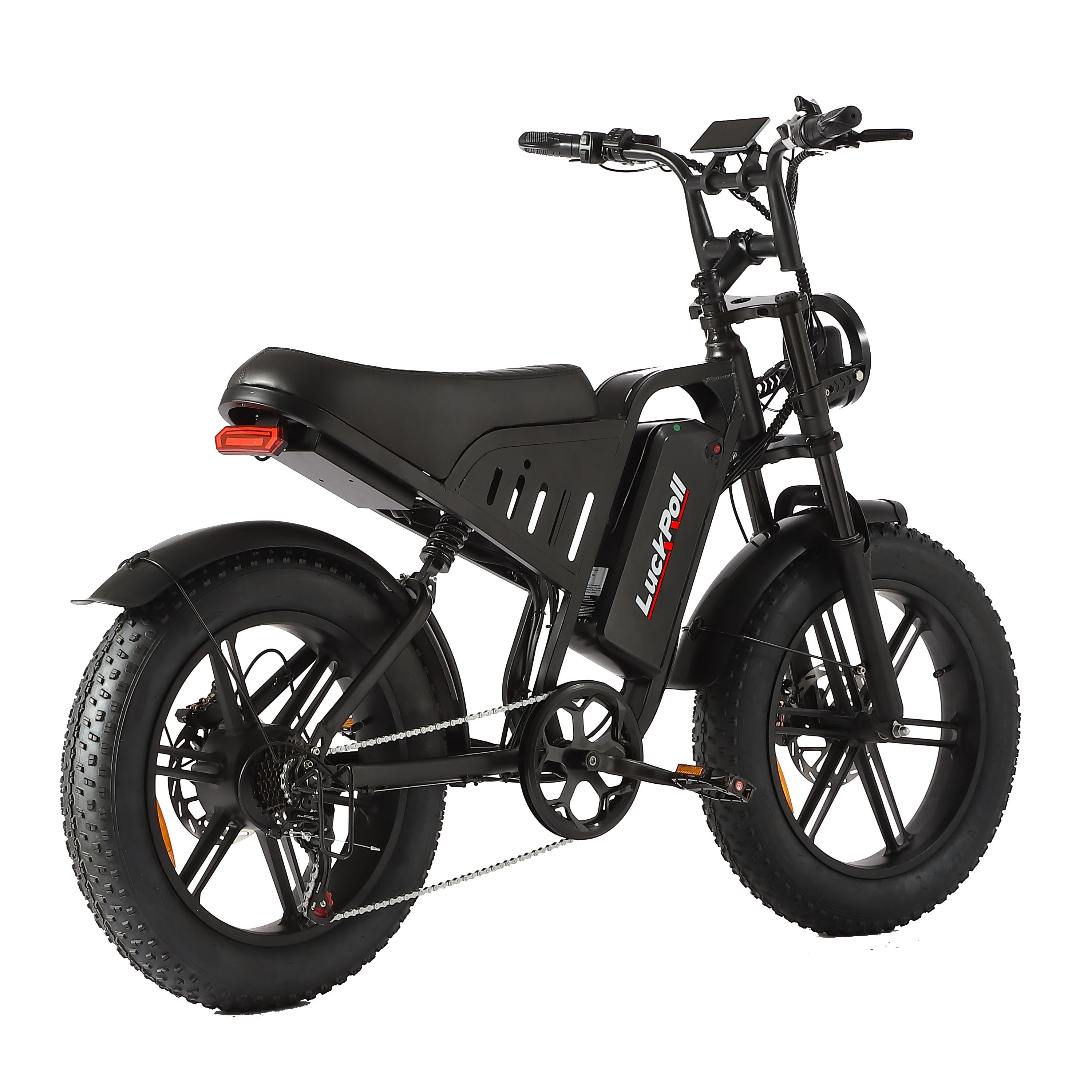 SAMEBIKE XWLX09-II 1000W fat tire electric mountain bike for adults