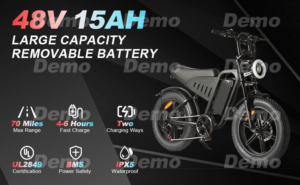 SAMEBIKE XWLX09-II 1000W fat tire electric mountain bike for adults