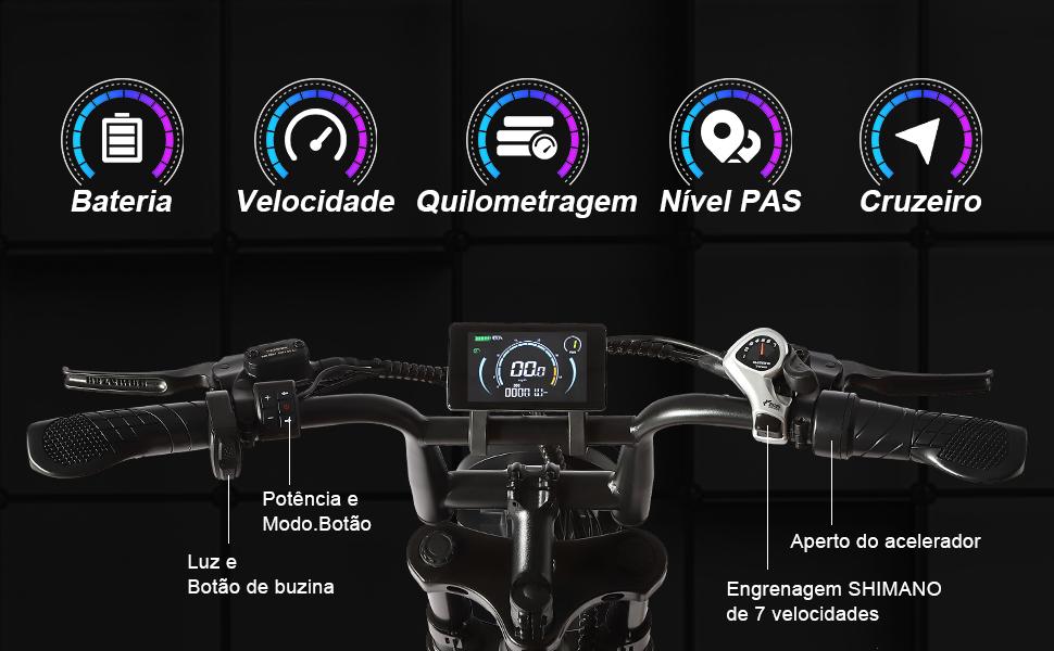 SAMEBIKE XWLX09-II 1000W fat tire electric mountain bike for adults