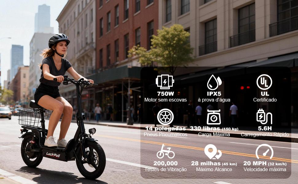 SAMEBIKE XWLX09-II 1000W fat tire electric mountain bike for adults