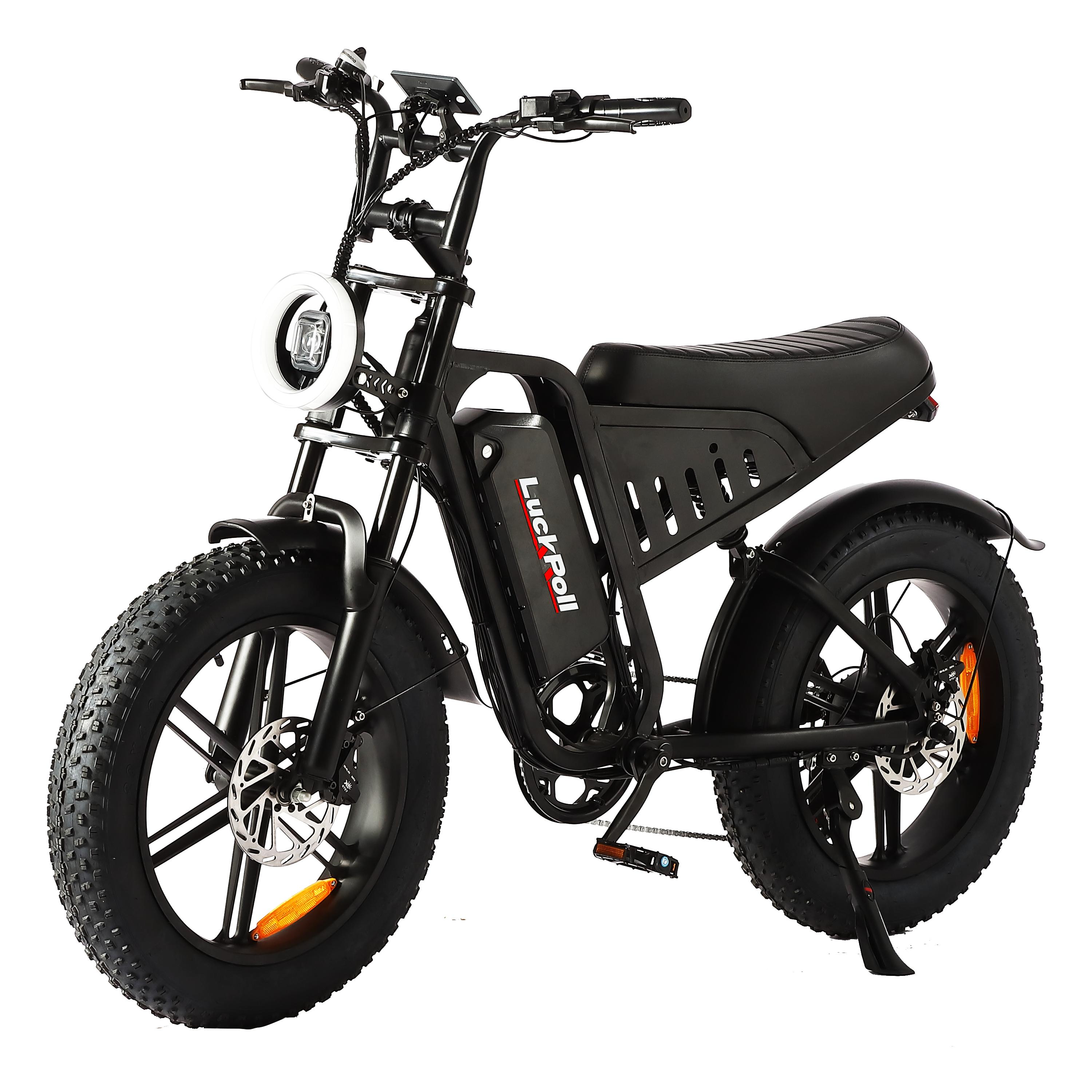 SAMEBIKE XWLX09-II 1000W fat tire electric mountain bike for adults