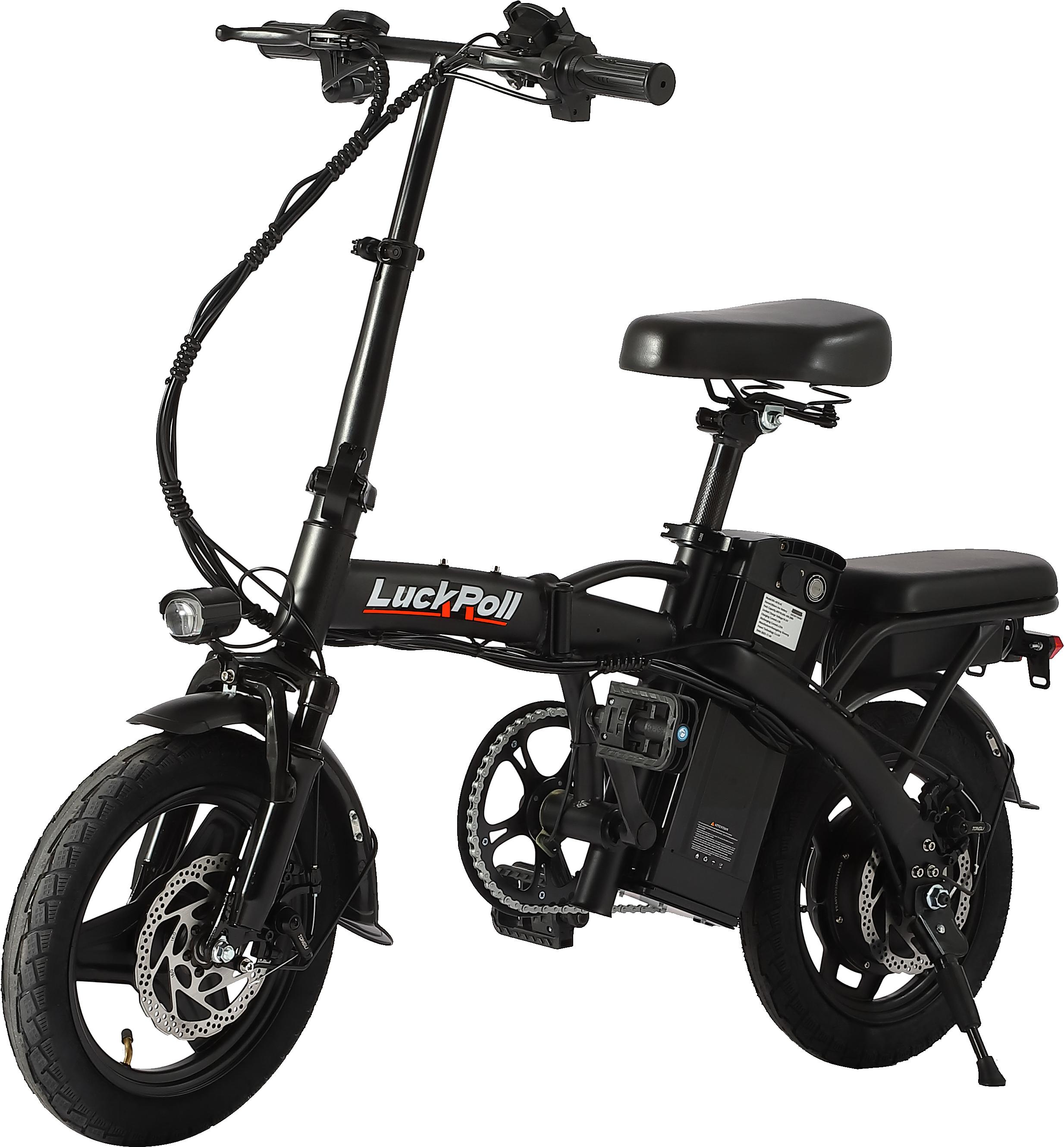 SAMEBIKE XWLX09-II 1000W fat tire electric mountain bike for adults