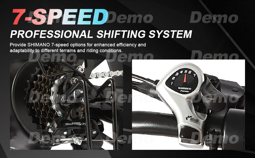 SAMEBIKE XWLX09-II 1000W fat tire electric mountain bike for adults