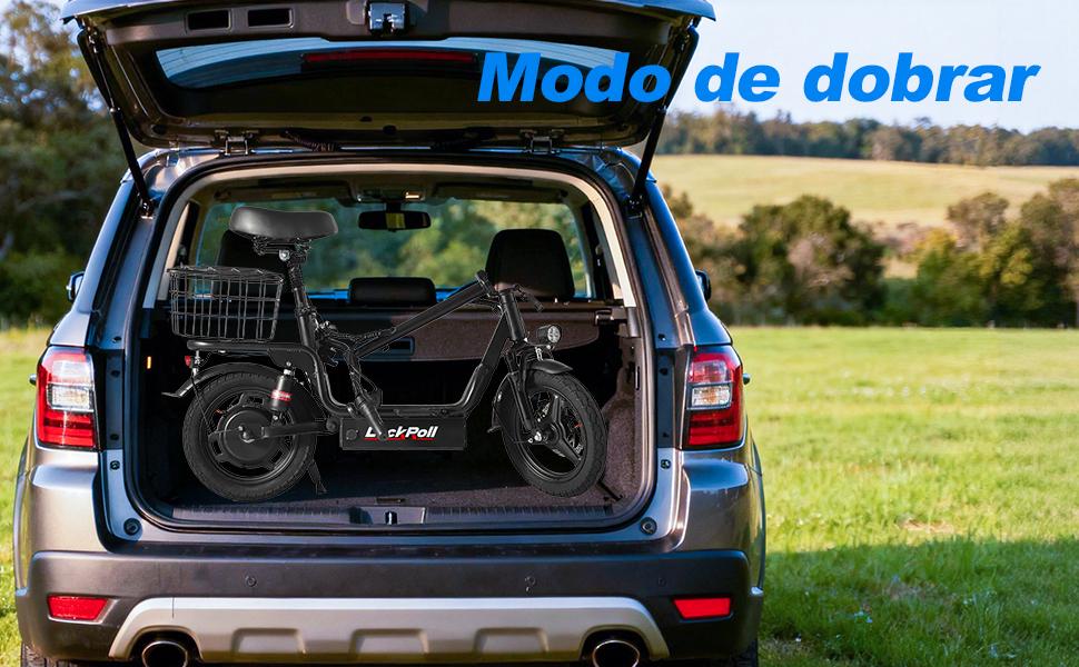 SAMEBIKE XWLX09-II 1000W fat tire electric mountain bike for adults