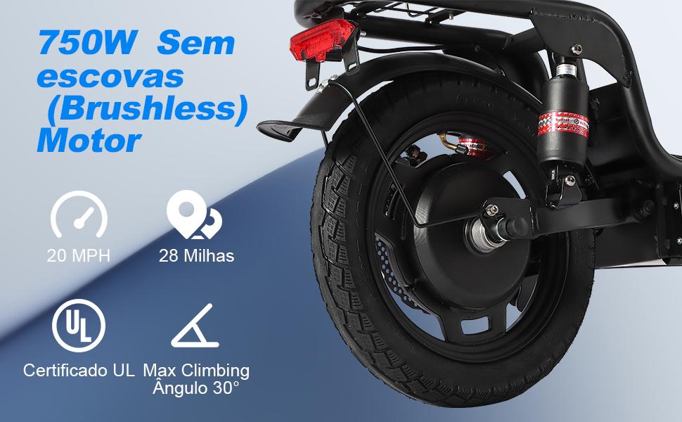 SAMEBIKE XWLX09-II 1000W fat tire electric mountain bike for adults