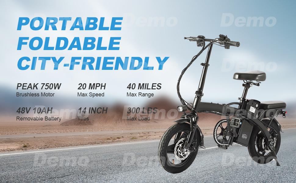 SAMEBIKE XWLX09-II 1000W fat tire electric mountain bike for adults