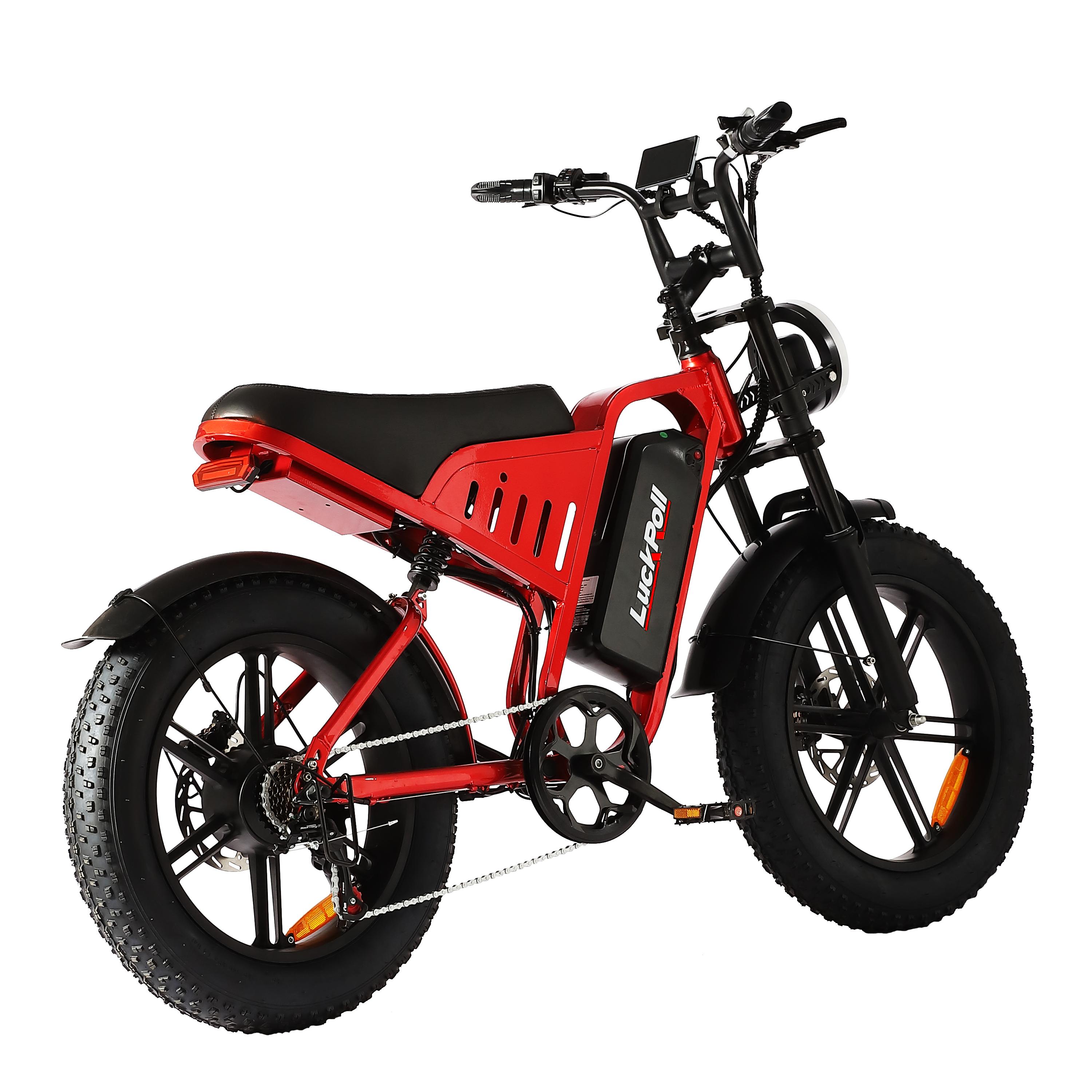 SAMEBIKE XWLX09-II 1000W fat tire electric mountain bike for adults