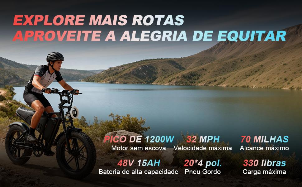 SAMEBIKE XWLX09-II 1000W fat tire electric mountain bike for adults