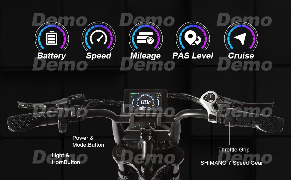 SAMEBIKE XWLX09-II 1000W fat tire electric mountain bike for adults